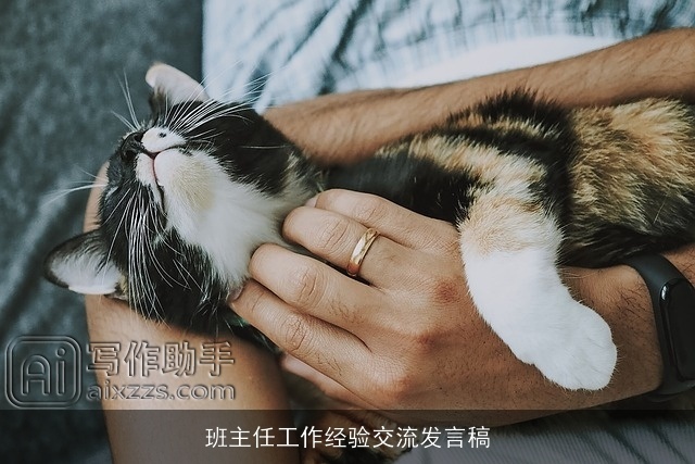 班主任工作经验交流发言稿 班主任工作经验交流发言稿