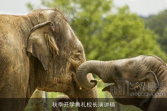 秋季开学典礼校长演讲稿 秋季开学典礼校长演讲稿