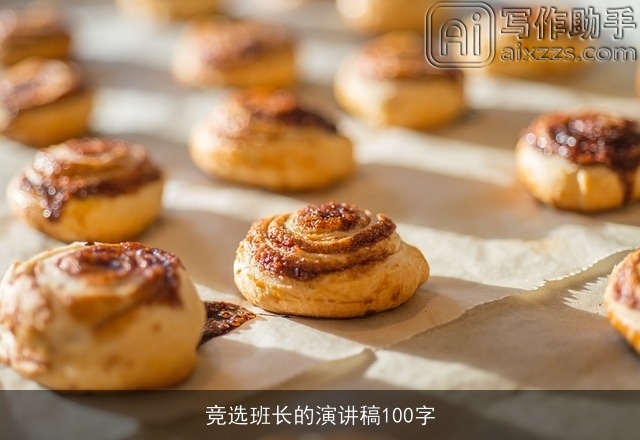 竞选班长的演讲稿100字 竞选班长的演讲稿100字