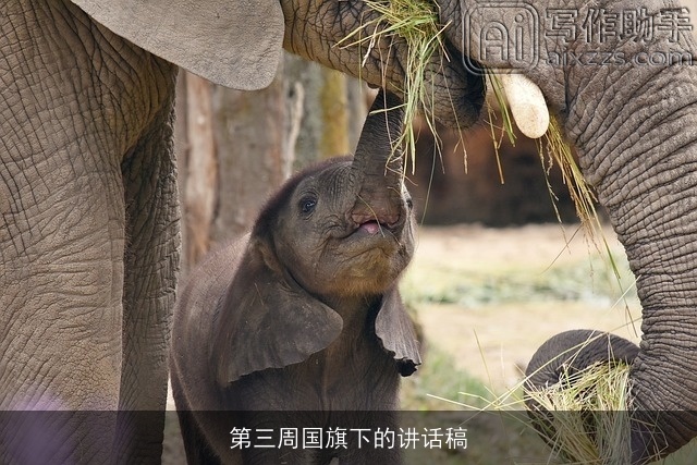 第三周国旗下的讲话稿 第三周国旗下的讲话稿