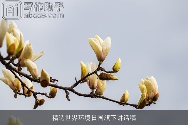 精选世界环境日国旗下讲话稿 精选世界环境日国旗下讲话稿