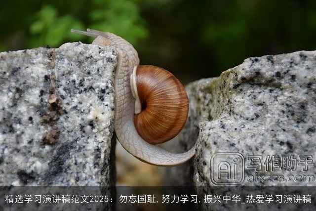 精选学习演讲稿范文2025:勿忘国耻,努力学习,振兴中华_热爱学习演讲稿 精选学习演讲稿范文2025:勿忘国耻,努力学习,振兴中华_热爱学习演讲稿