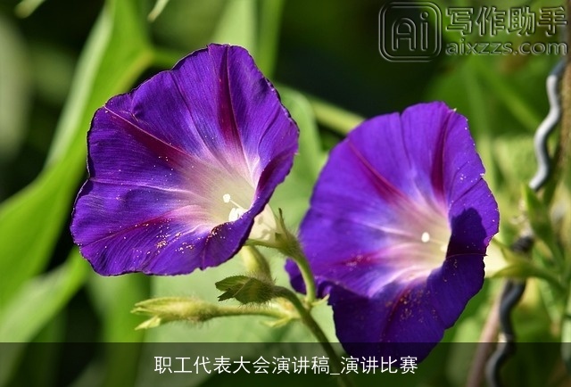 职工代表大会演讲稿_演讲比赛 职工代表大会演讲稿_演讲比赛