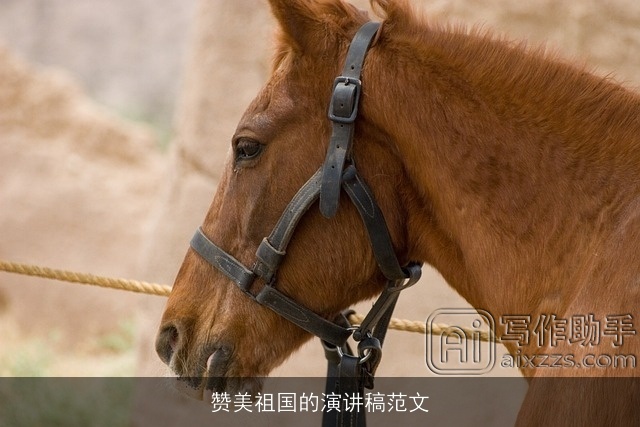 赞美祖国的演讲稿范文 赞美祖国的演讲稿范文