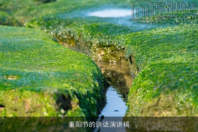 重阳节的讲话演讲稿 重阳节的讲话演讲稿