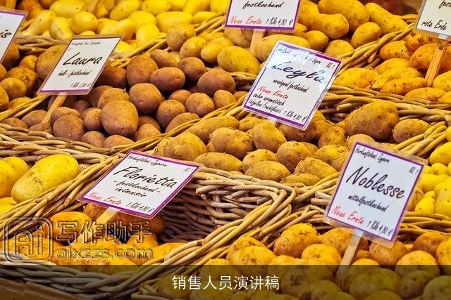 销售人员演讲稿 销售人员演讲稿