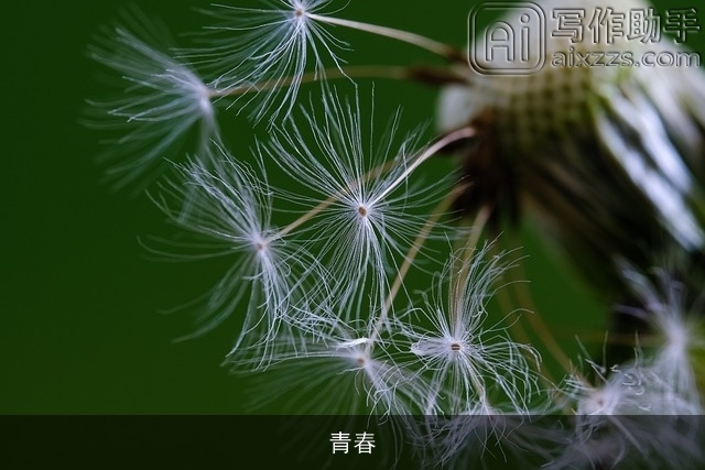 青春 青春