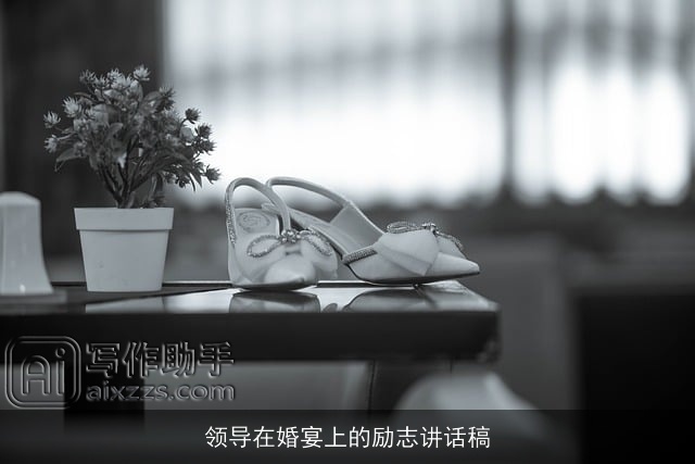 领导在婚宴上的励志讲话稿 领导在婚宴上的励志讲话稿