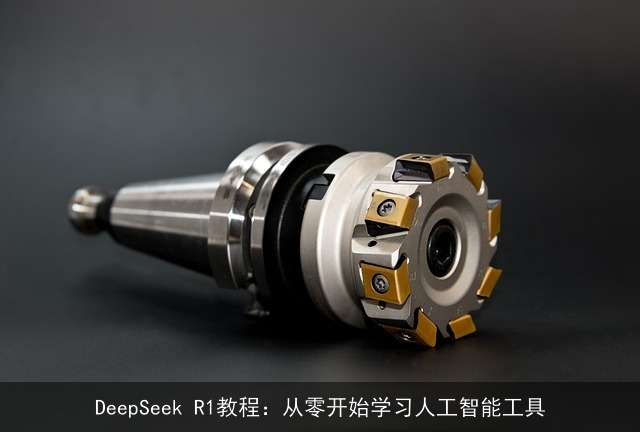 DeepSeek R1教程:从零开始学习人工智能工具 DeepSeek R1教程:从零开始学习人工智能工具