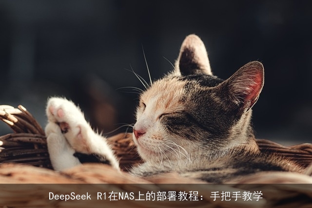 DeepSeek R1在NAS上的部署教程:手把手教学 DeepSeek R1在NAS上的部署教程:手把手教学