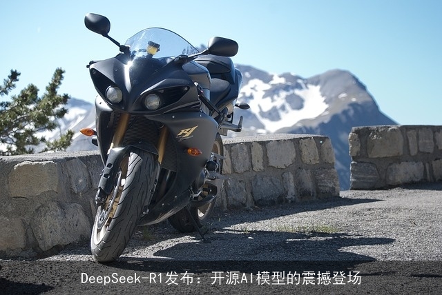DeepSeek-R1发布:开源AI模型的震撼登场 DeepSeek-R1发布:开源AI模型的震撼登场