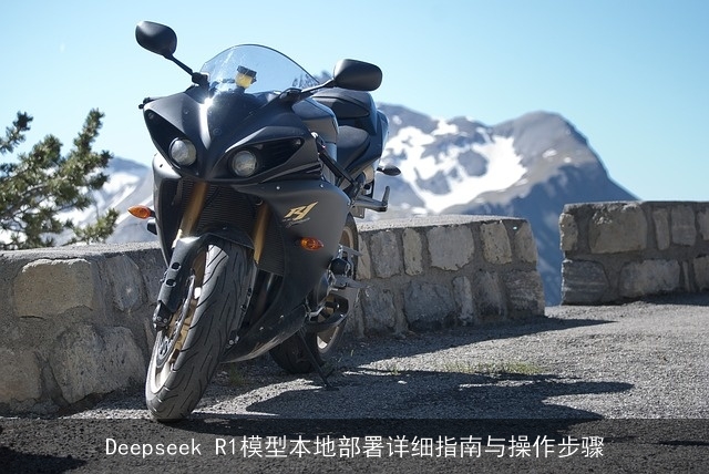 Deepseek R1模型本地部署详细指南与操作步骤 Deepseek R1模型本地部署详细指南与操作步骤