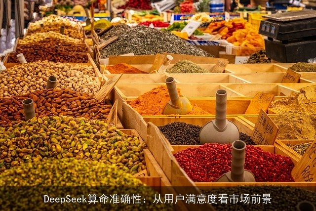 DeepSeek××准确性:从用户满意度看市场前景 DeepSeek××准确性:从用户满意度看市场前景