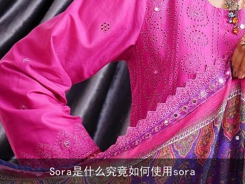 Sora是什么究竟如何使用sora