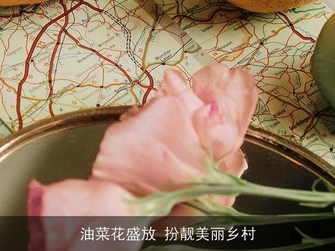 油菜花盛放 扮靓美丽乡村