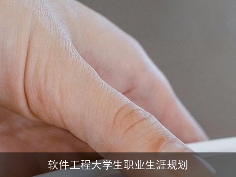 软件工程大学生职业生涯规划