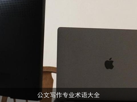 公文写作专业术语大全