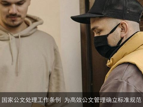 国家公文处理工作条例 为高效公文管理确立标准规范