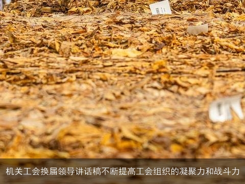 机关工会换届领导讲话稿不断提高工会组织的凝聚力和战斗力