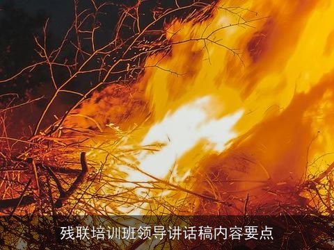 残联培训班领导讲话稿内容要点