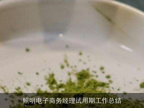 照明电子商务经理试用期工作总结