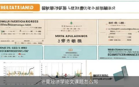 计量经济学论文课题怎么写