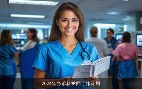 2024年急诊科护师工作计划