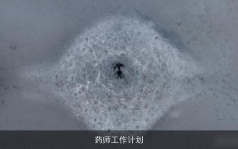 药师工作计划