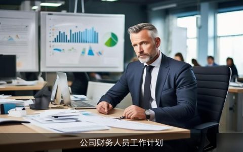 公司财务人员工作计划