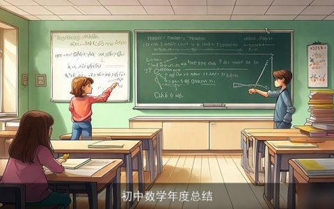 初中数学年度总结