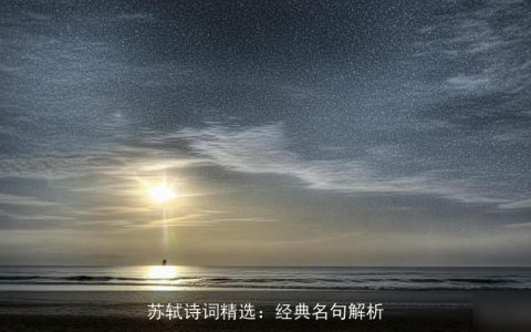 苏轼诗词精选：经典名句解析