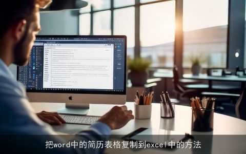 把word中的简历表格复制到excel中的方法