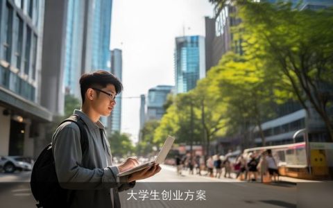 大学生创业方案