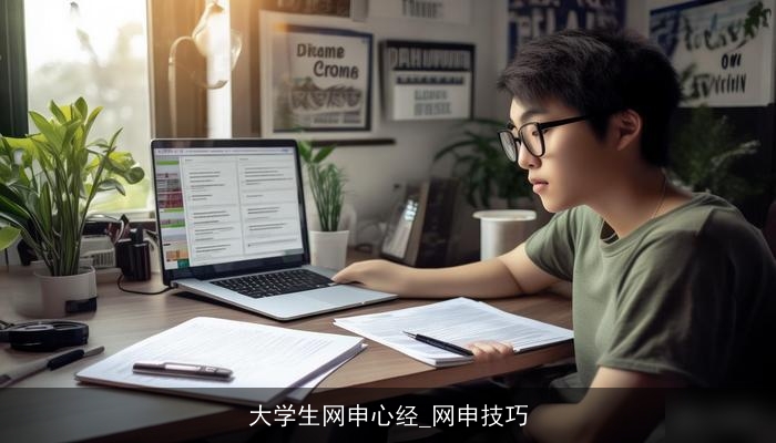 大学生网申心经_网申技巧