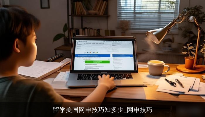 留学美国网申技巧知多少_网申技巧