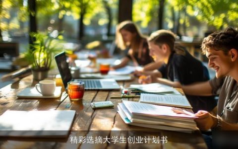 精彩选摘大学生创业计划书