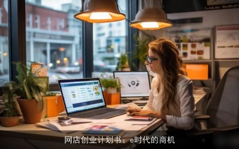 网店创业计划书：e时代的商机