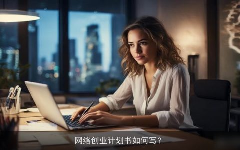 网络创业计划书如何写？