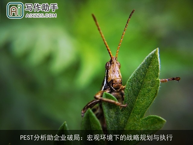 PEST分析助企业破局：宏观环境下的战略规划与执行