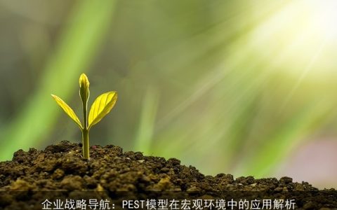 企业战略导航：PEST模型在宏观环境中的应用解析