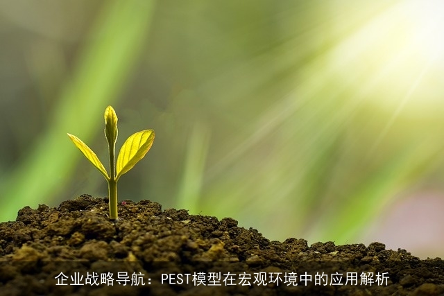 企业战略导航：PEST模型在宏观环境中的应用解析