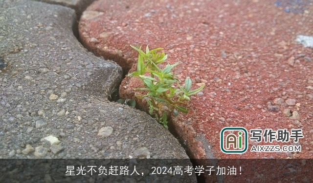 星光不负赶路人，2024高考学子加油！