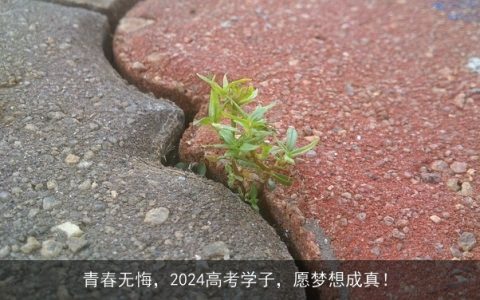 青春无悔，2024高考学子，愿梦想成真！