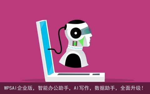 WPSAI企业版，智能办公助手，AI写作，数据助手，全面升级！