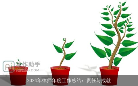 2024年律师年度工作总结：责任与成就