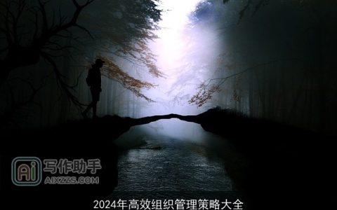 2024年高效组织管理策略大全