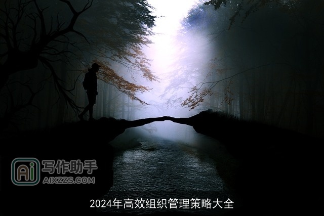 2024年高效组织管理策略大全