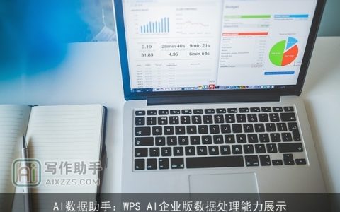 AI数据助手：WPS AI企业版数据处理能力展示