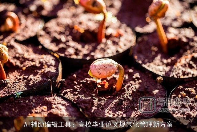 AI辅助编辑工具：高校毕业论文规范化管理新方案