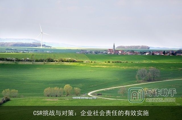 CSR挑战与对策：企业社会责任的有效实施